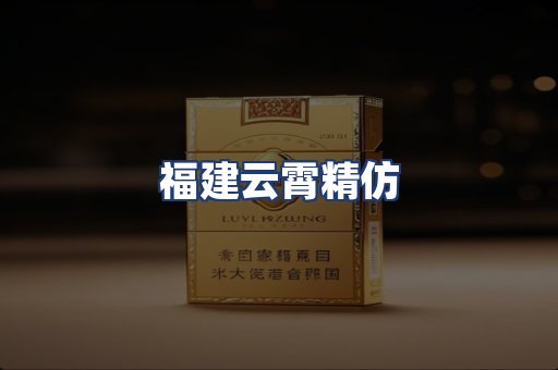 福建云霄精仿